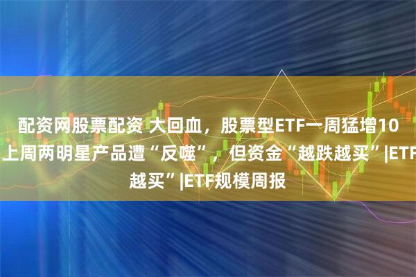 配资网股票配资 大回血，股票型ETF一周猛增1000亿元！上周两明星产品遭“反噬”，但资金“越跌越买”|ETF规模周报